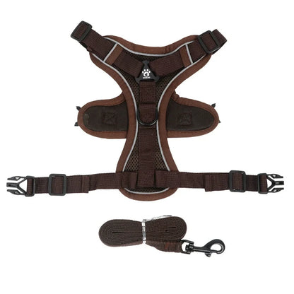 No-Pull Dog Harness & Leash Set – Adjustable Reflective Pet Vest Harness for Small Dogs & Cats, Comfortable Walking Chest Strap Lead.
