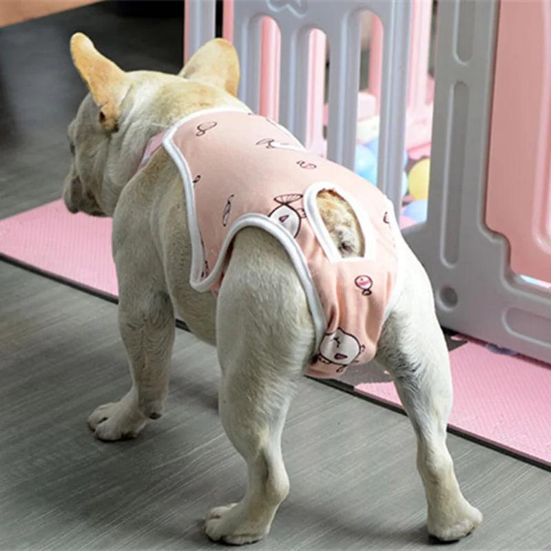 Adjustable Pet Underwear Shorts – Washable Physiological Pants with Shoulder Strap for Female Dogs, Comfortable Safety Diaper Trousers for Pets.