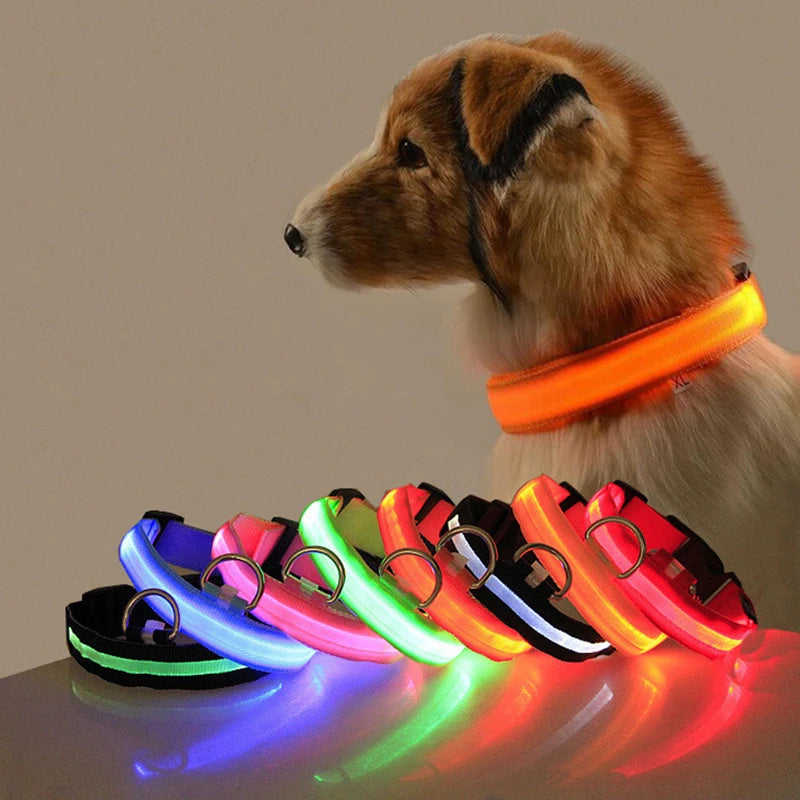 LED Dog Collar Light – USB Rechargeable Night Safety Anti-Lost Collar Accessory for Dogs & Puppies, Luminous Pet Walking Light.