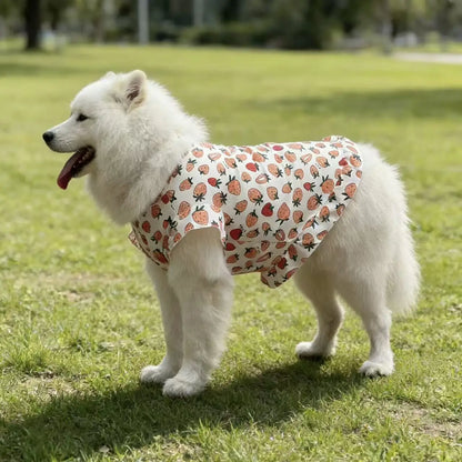 Spring & Summer Dog Vest – Lightweight Anti-Shedding Shirt for Medium & Large Dogs, Golden Retrievers, Samoyeds, Border Collies & Labradors.