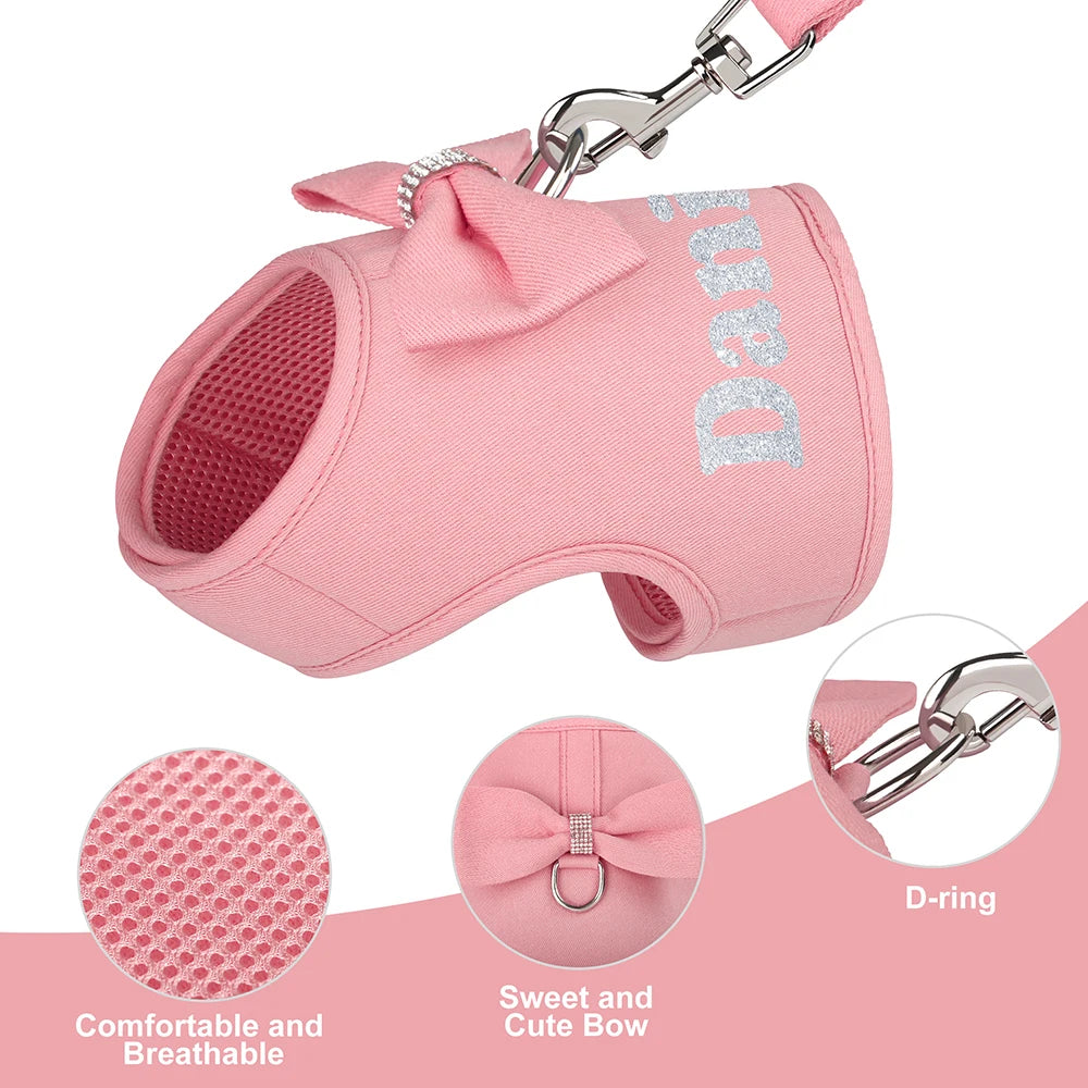 Personalized Dog Harness & Leash Set – Custom Name Pet Vest with Cute Bowtie for Small & Medium Dogs and Cats.