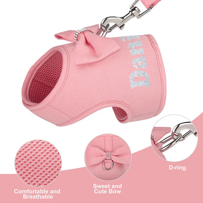Personalized Dog Harness & Leash Set – Custom Name Pet Vest with Cute Bowtie for Small & Medium Dogs and Cats.