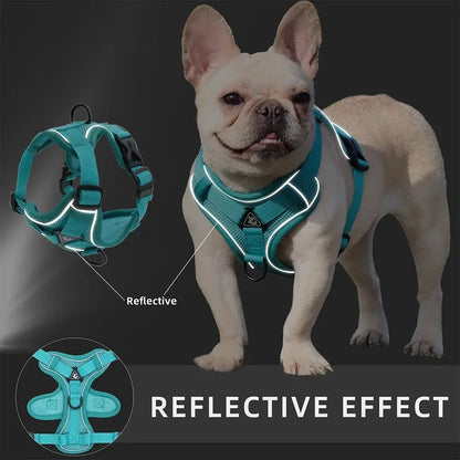 No-Pull Dog Harness & Leash Set – Adjustable Reflective Pet Vest Harness for Small Dogs & Cats, Comfortable Walking Chest Strap Lead.