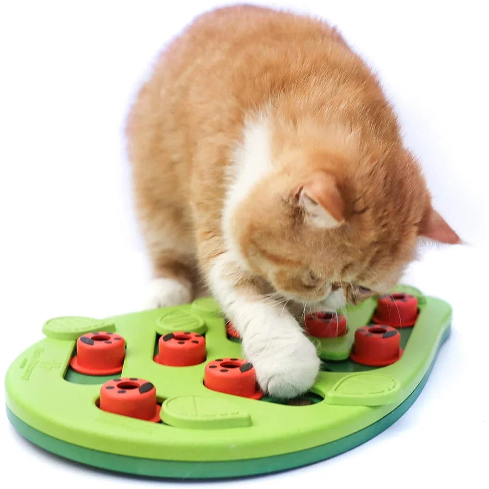Interactive Cat Puzzle Toy – Slow Feeder Play Toy with Scratch Board for Indoor Cats, Fun Mental Stimulation & Feeding Game.