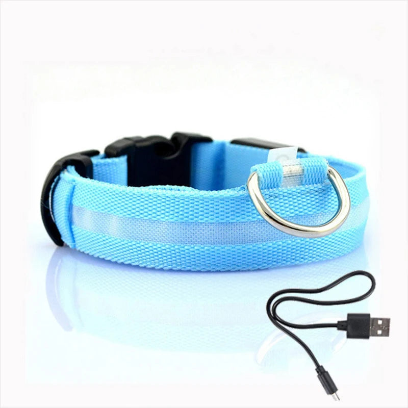 LED Dog Collar Light – USB Rechargeable Night Safety Anti-Lost Collar Accessory for Dogs & Puppies, Luminous Pet Walking Light.