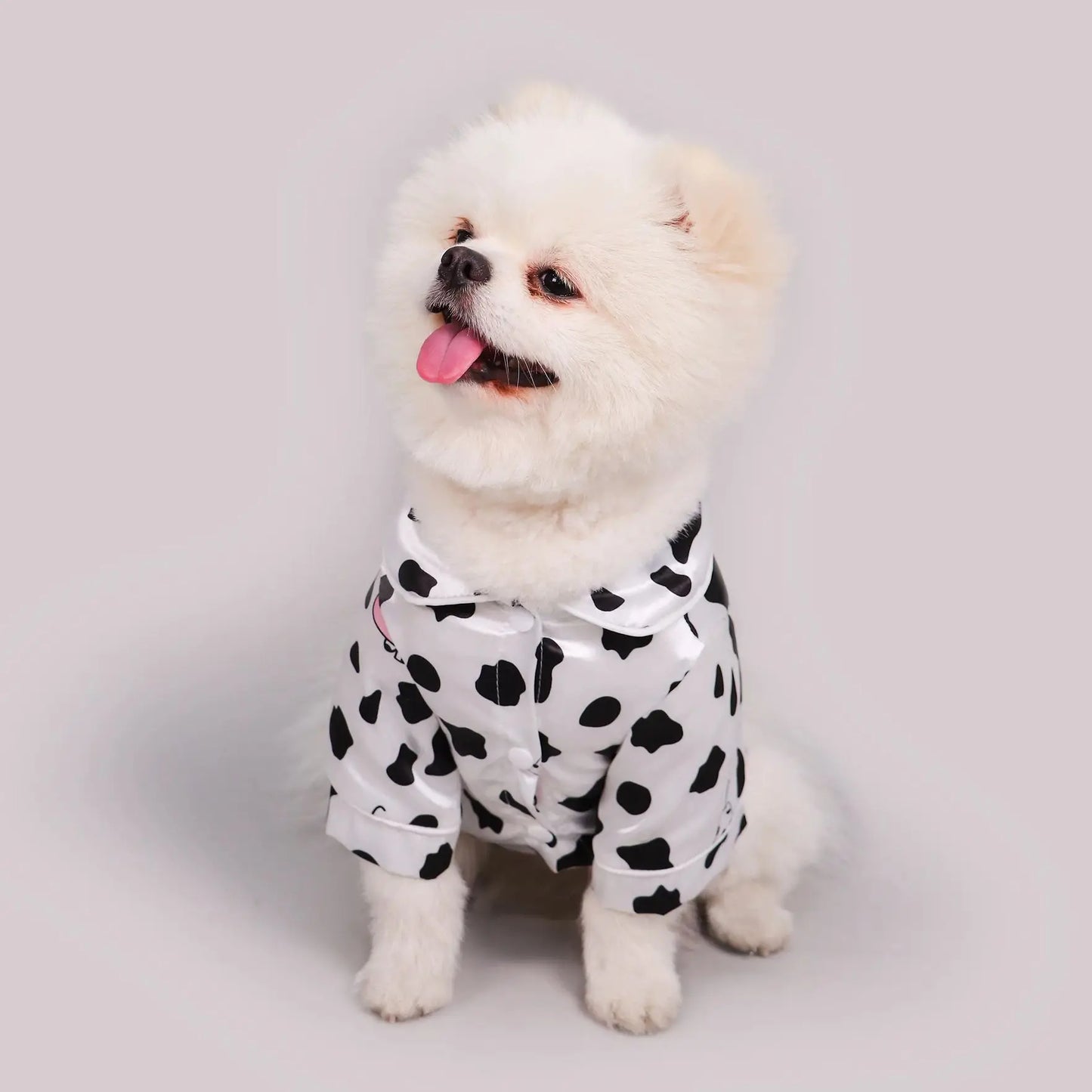 Cute Pet T-Shirt – Soft Lightweight Dog & Cat Homewear with Adorable Leopard, Bee & Cow Print Designs.