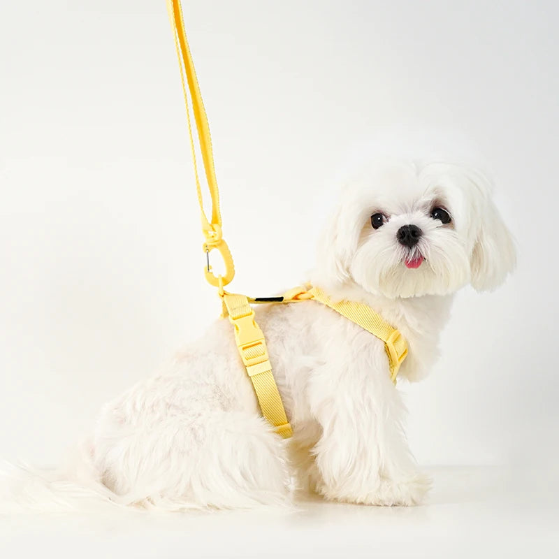 Adjustable Macaron-Color Dog Harness Set – Reflective Collar & Leash for Small Dogs, Puppies & Cats, Comfortable Pet Walking Accessories.