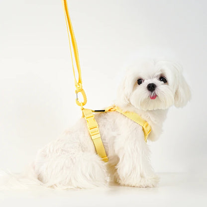 Adjustable Macaron-Color Dog Harness Set – Reflective Collar & Leash for Small Dogs, Puppies & Cats, Comfortable Pet Walking Accessories.