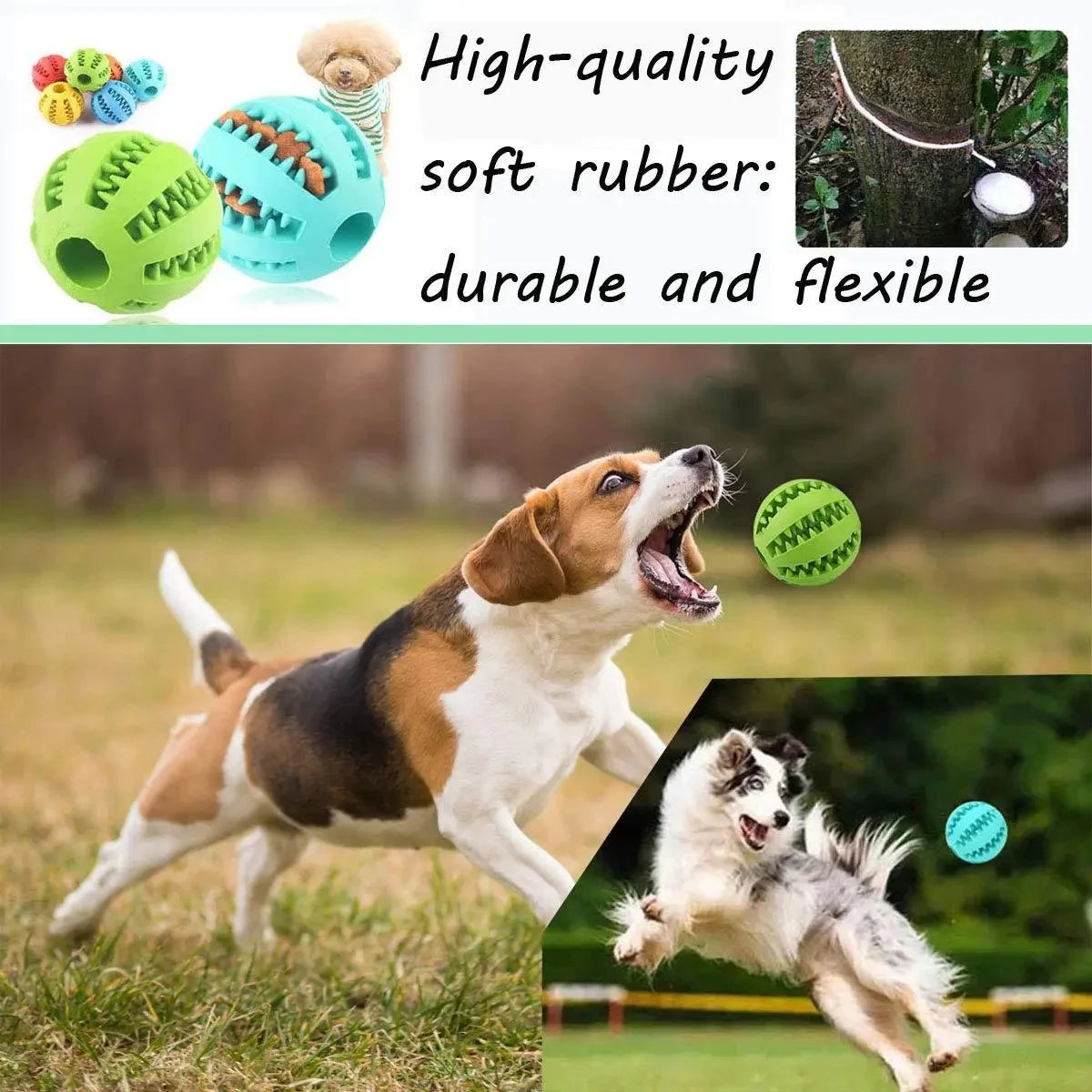 Interactive Dog Chew Toy – Soft Elastic Ball for Dogs, Durable Rubber Ball for Teeth Cleaning and Fun Play