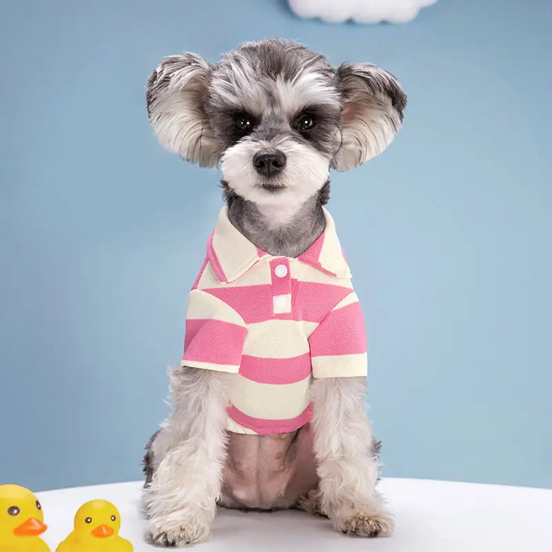 Pet Dog Polo Shirt – Summer Casual T-Shirt for Small & Large Dogs and Cats, Stylish Chihuahua, Pug & Yorkshire Outfit.