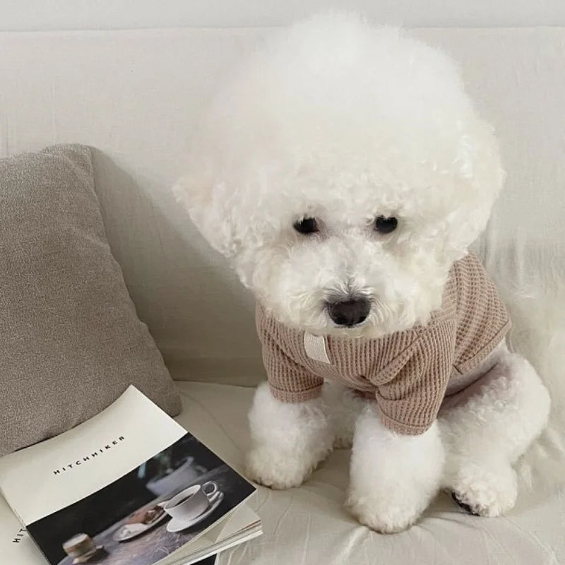 Autumn & Winter Pet Shirt – Soft Solid Cute Bottoming Shirt for Puppies.