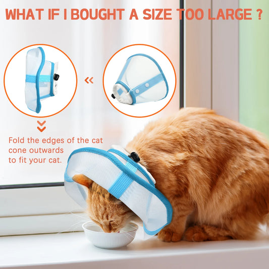 Fashion Contrast Color Pet Elizabethan Collar – Protective Recovery Cone for Cats & Dogs, Ideal for Grooming & Post-Surgery Care.