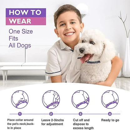 Calming Pet Collar – Anxiety Relief Retractable Collar for Dogs & Cats, Adjustable 56/72cm Design for Puppies, Kittens & Large Dogs