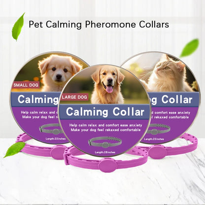 Calming Pet Collar – Anxiety Relief Retractable Collar for Dogs & Cats, Adjustable 56/72cm Design for Puppies, Kittens & Large Dogs