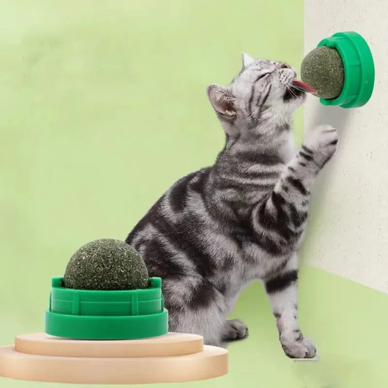 Catnip Cat Wall Stick-on Ball Toy Scratchers Treats Healthy Natural Removes Balls to Promote Digestion Cat Grass Snack.