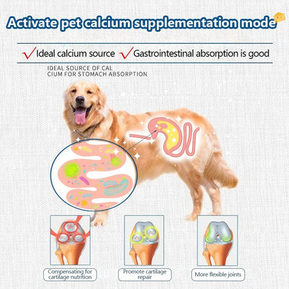 Freeze-Dried High-Calcium Cheese Treats for Cats & Dogs, Nutrient-Rich Dairy Snacks for Digestion Support & Calcium Supplementation.
