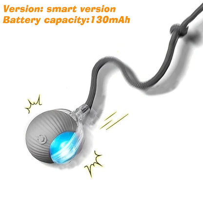 Automatic Rolling Dog Ball – Rechargeable Interactive Smart Toy for Dogs, Intelligent Motion Puppy Play Ball.