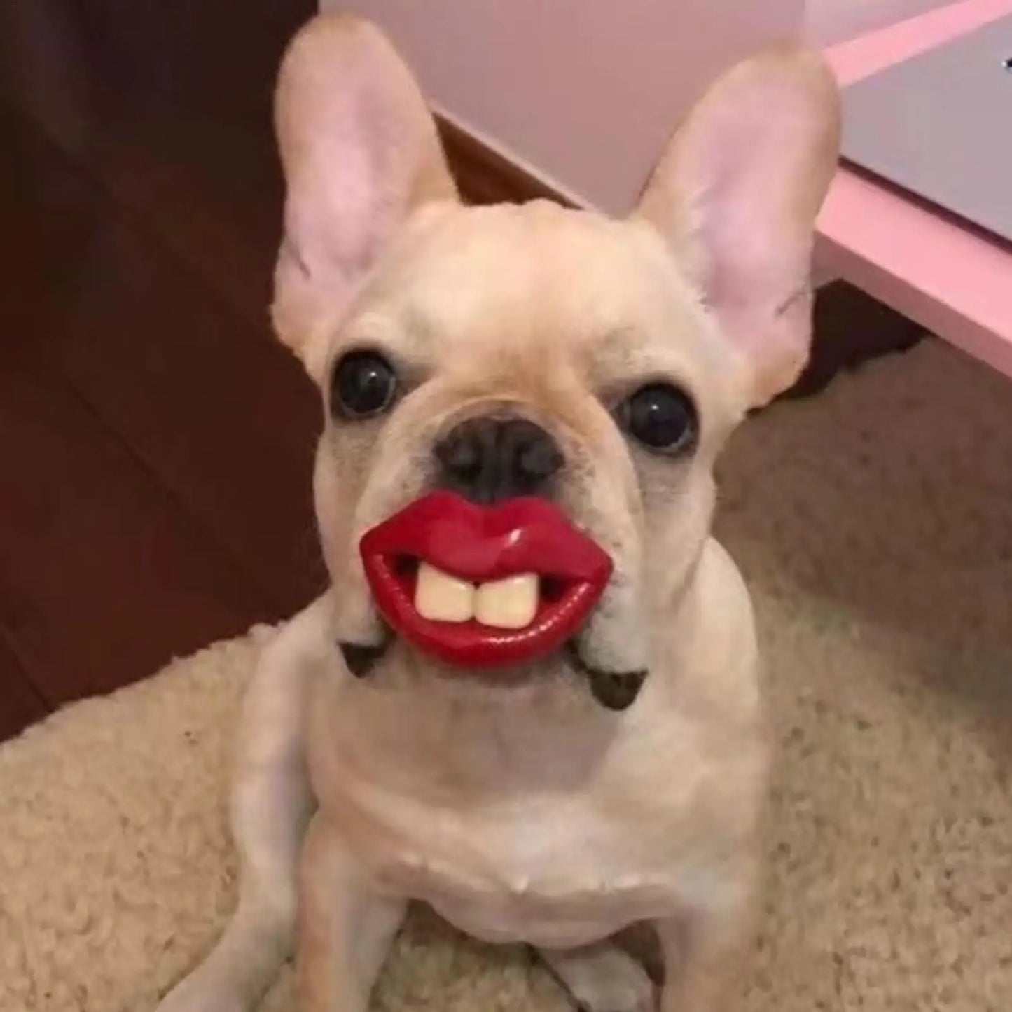 Funny Dog Pacifier Toy – Soft Silicone Red Lips Chew & Teething Toy for Small Dogs and Pets, Safe Dental Care Accessory.