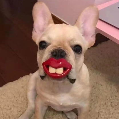 Funny Dog Pacifier Toy – Soft Silicone Red Lips Chew & Teething Toy for Small Dogs and Pets, Safe Dental Care Accessory.
