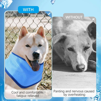 Summer Dog Cooling Ice Scarf – Quick-Cooling Towel for Small, Medium & Large Dogs.