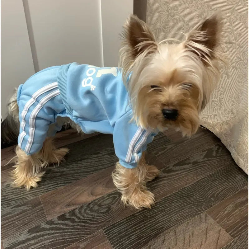 Dog Tracksuit Jumpsuit – Sporty Spring & Autumn Sweatshirt Outfit for Small Dogs, Comfortable Casual Pet Clothing.