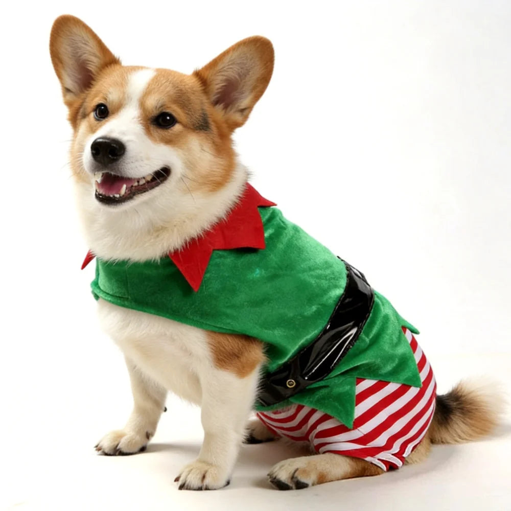 Christmas Elf Costume for Dogs Festive Holiday Party Outfit, Striped Winter Coat for Small and Medium Pets.