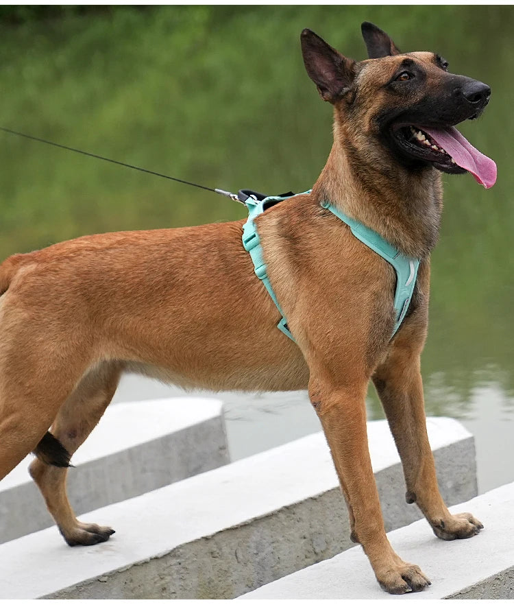 Adjustable Reflective No-Pull Pet Harness – Comfortable Nylon Dog Harness for Walking & Running Control for Small Dogs.