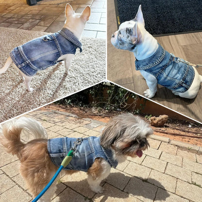 Dog Denim Jean Jacket – Cool Washable Harness Vest Outfit for Small Dogs, Puppies & Cats.