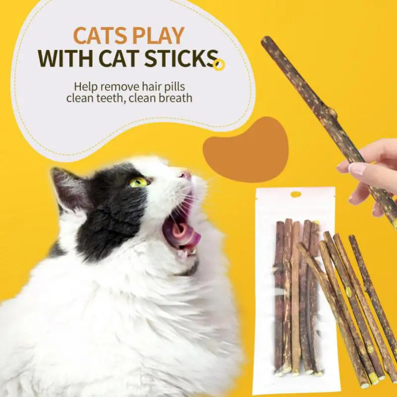 100-Pack Natural Matatabi (Silvervine) Cat Chew Sticks, Catnip Dental Treats for Teeth Cleaning, Healthy Chewing & Interactive Play