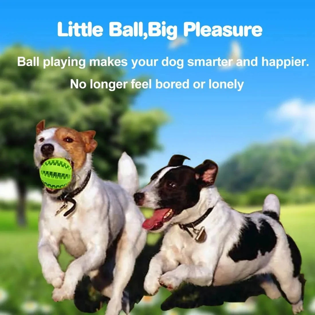 Interactive Dog Chew Toy – Soft Elastic Ball for Dogs, Durable Rubber Ball for Teeth Cleaning and Fun Play