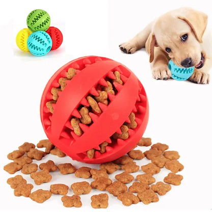 Interactive Dog Chew Toy – Soft Elastic Ball for Dogs, Durable Rubber Ball for Teeth Cleaning and Fun Play