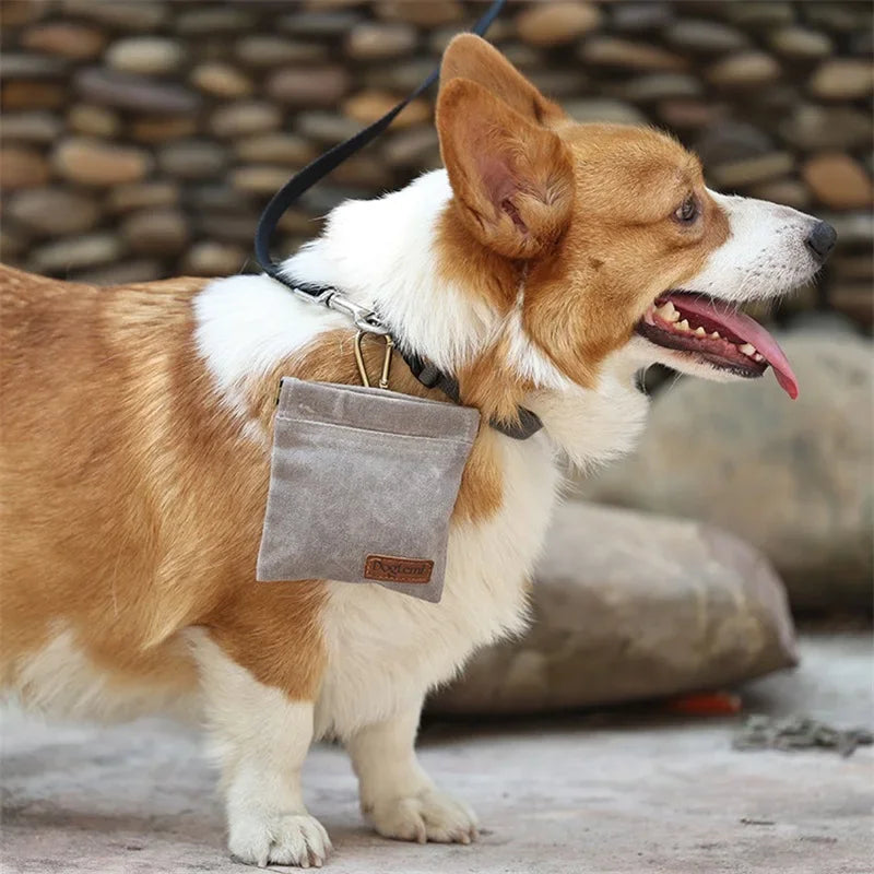 Hands-Free Dog Treat Training Pouch with Carabiner, Walking Snack Bag, Waist Pack Storage for Puppy Rewards & Pet Training.
