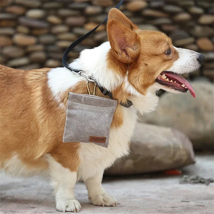 Hands-Free Dog Treat Training Pouch with Carabiner, Walking Snack Bag, Waist Pack Storage for Puppy Rewards & Pet Training.