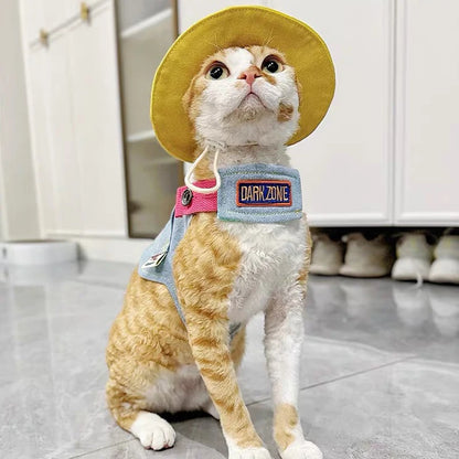 Outdoor Cowboy Sphynx Cat Harness & Leash – Luxury Sleeveless Denim Adjustable Harness for Travel, Walking & Hiking with Devon Rex Kittens.
