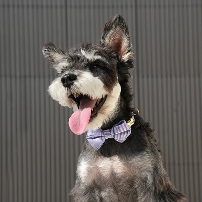 Personalized Pet ID Collar – Cute Bowtie Collar with Free Engraving for Small & Medium Dogs & Cats, Adjustable Buckle Design.