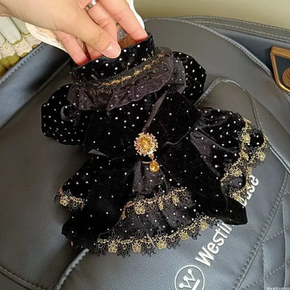 Velvet Black & Gold Pet Dress – Fashionable Girly Outfit for Small Dogs, Cute Luxury Print Clothing for Pets.