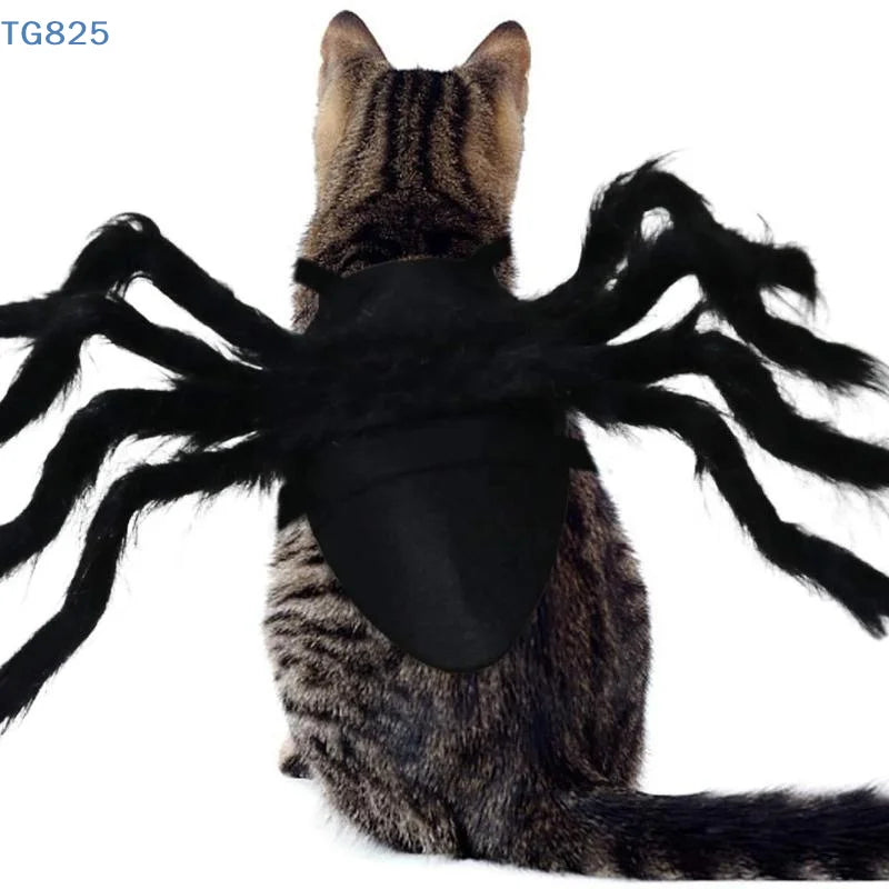 Halloween Spider Pet Costume – Funny Cosplay Dress-Up Outfit for Dogs & Cats.