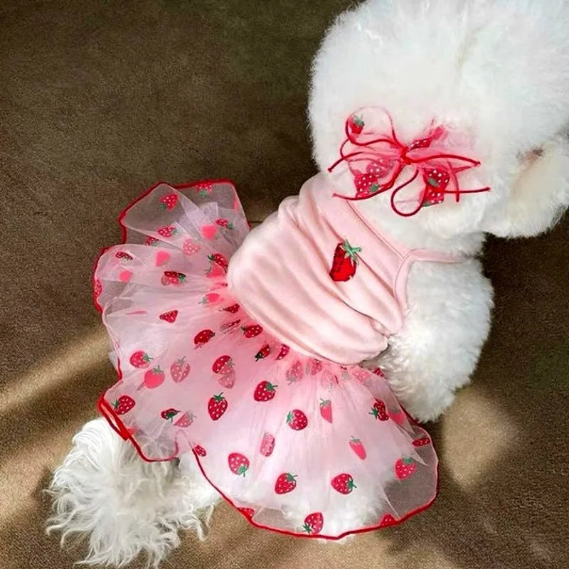 Luxury Dog Dress for Small Dogs – Summer Puppy Outfit with Bow Lace Skirt, Black & White T-Shirt Style Costume for Chihuahuas & Girls Dogs