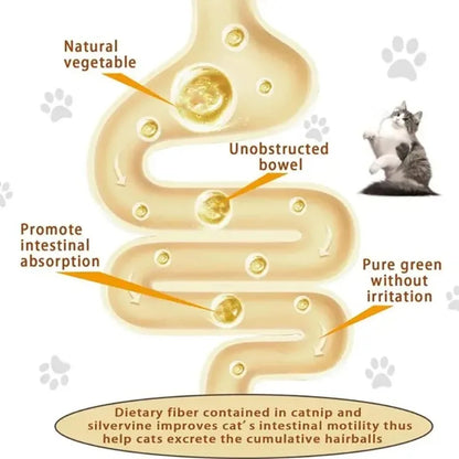 4-in-1 Rotating Catnip & Silver Vine Ball – Wall-Mounted Edible Cat Toy for Teeth Cleaning, Acne Prevention & Digestive Health.