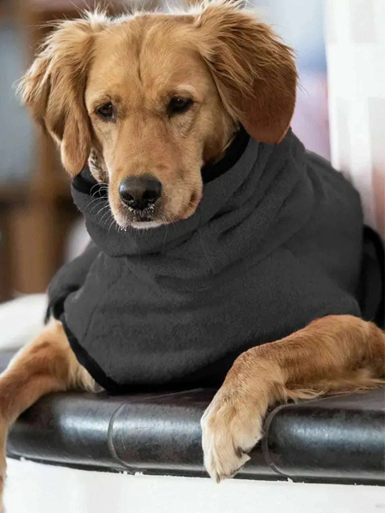 Winter Dog Coat – Cozy Fleece Jacket with Warm Lining and Adjustable Band, Perfect for Lurchers & Medium Dogs