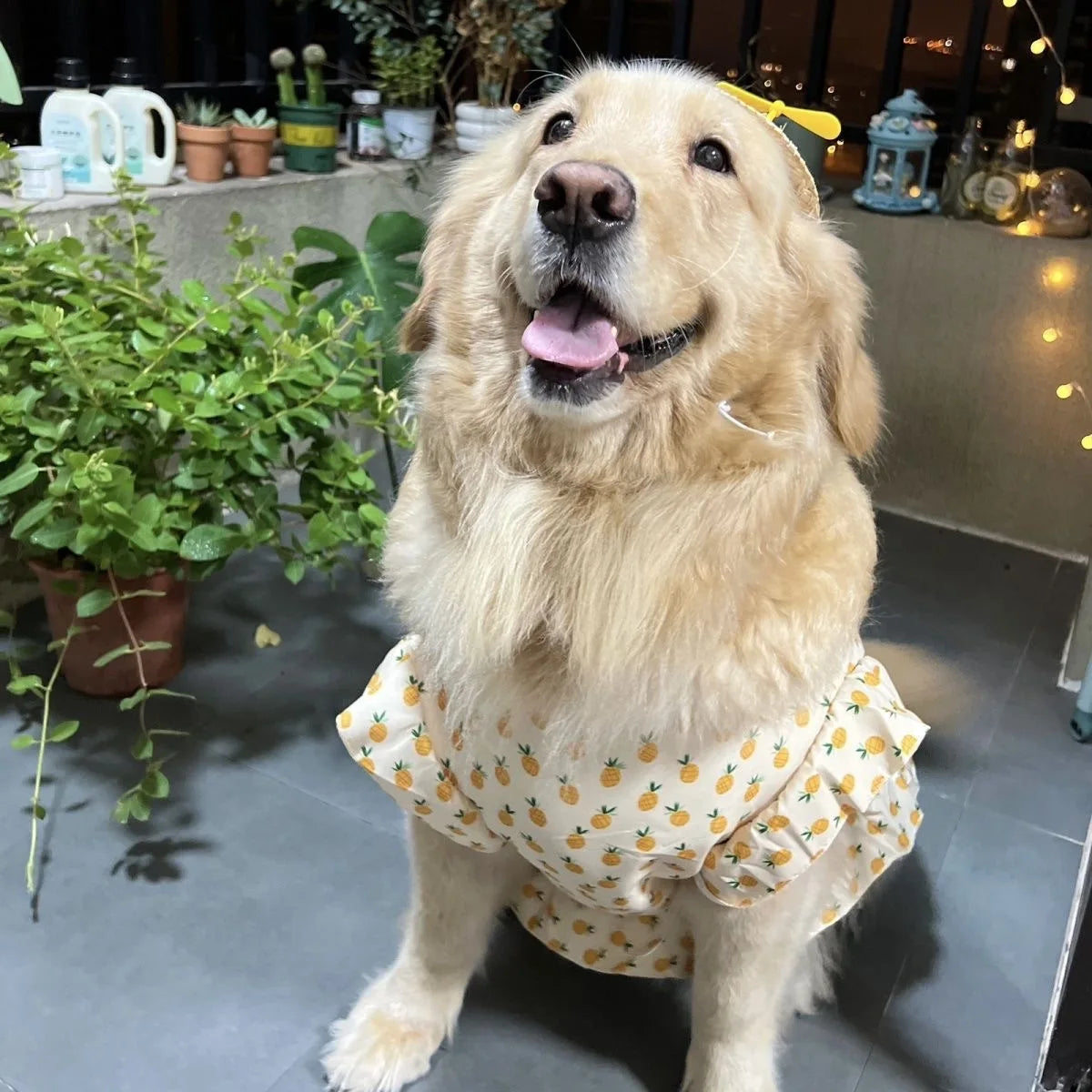 Summer Cooling Dog Dress – Cute Princess Vest Outfit for Medium & Large Dogs, Lightweight Clothing.