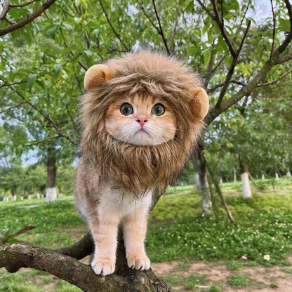Lion Mane Pet Costume – Cute Cat Wig Hat with Ears, Funny Cosplay Outfit for Pets, Fancy Party Accessory Set.
