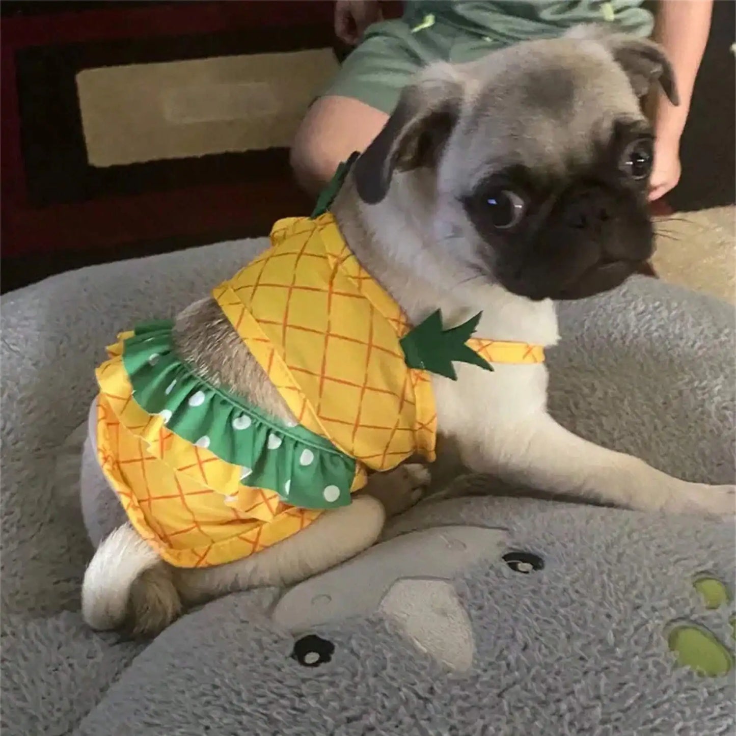 Summer Pineapple Dog Swimwear – Cute Bikini Beach Bathing Suit & Cooling Pet Shirt for Dogs, Stylish Summer Pet Clothes.