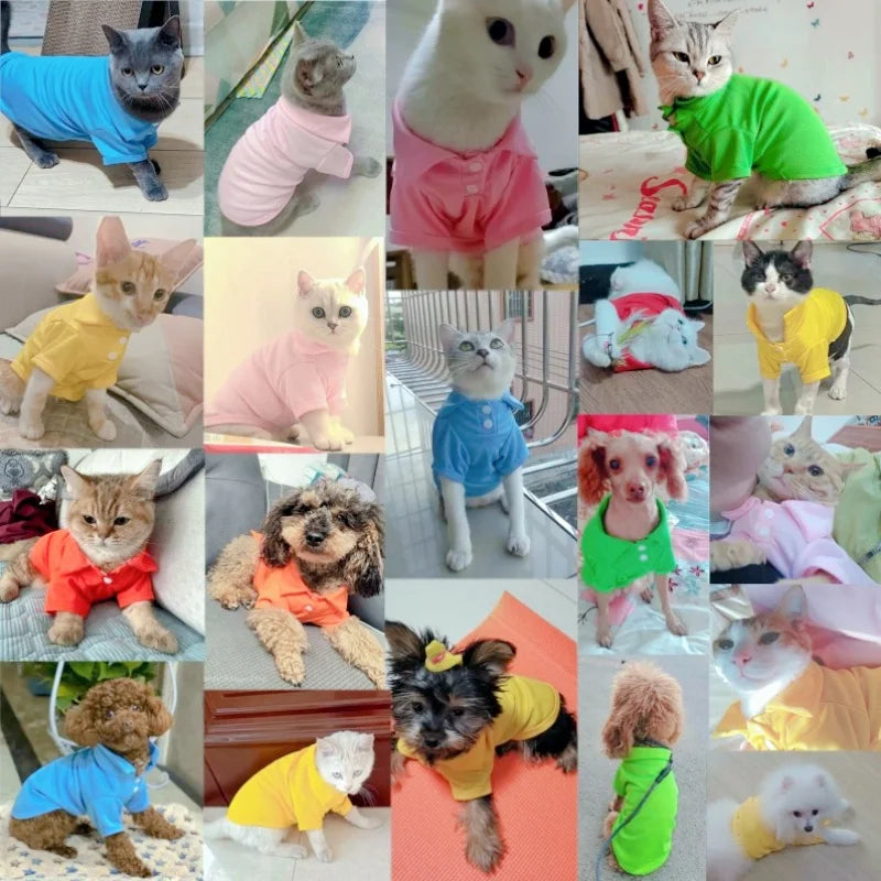 Luxury Pet Polo Shirt – Soft Summer Dog Clothing for Small Dogs, Cute Solid Color Pet Outfit.