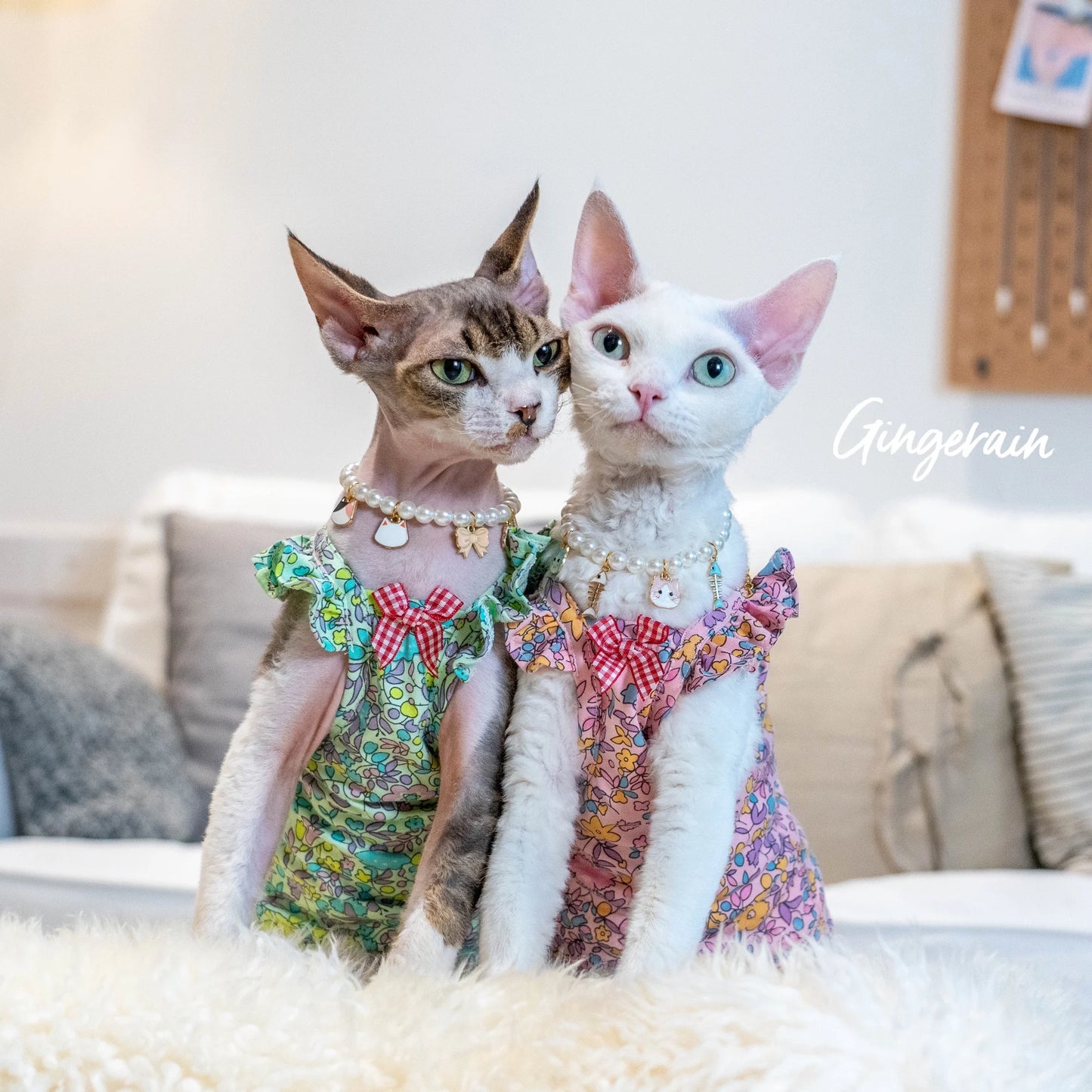 Luxury Sphynx Cat Dress – Sleeveless Cotton Princess Skirt for Devon Rex & Sphynx Cats, Sweet Spring & Summer Pet Outfit.