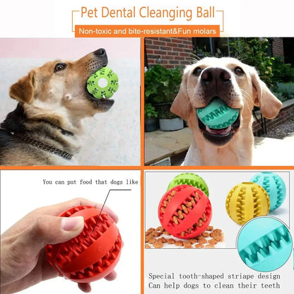 Interactive Dog Chew Toy – Soft Elastic Ball for Dogs, Durable Rubber Ball for Teeth Cleaning and Fun Play