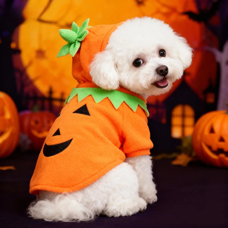 Halloween Pumpkin Dog Costume – Cozy Autumn & Winter Outfit for Dogs.