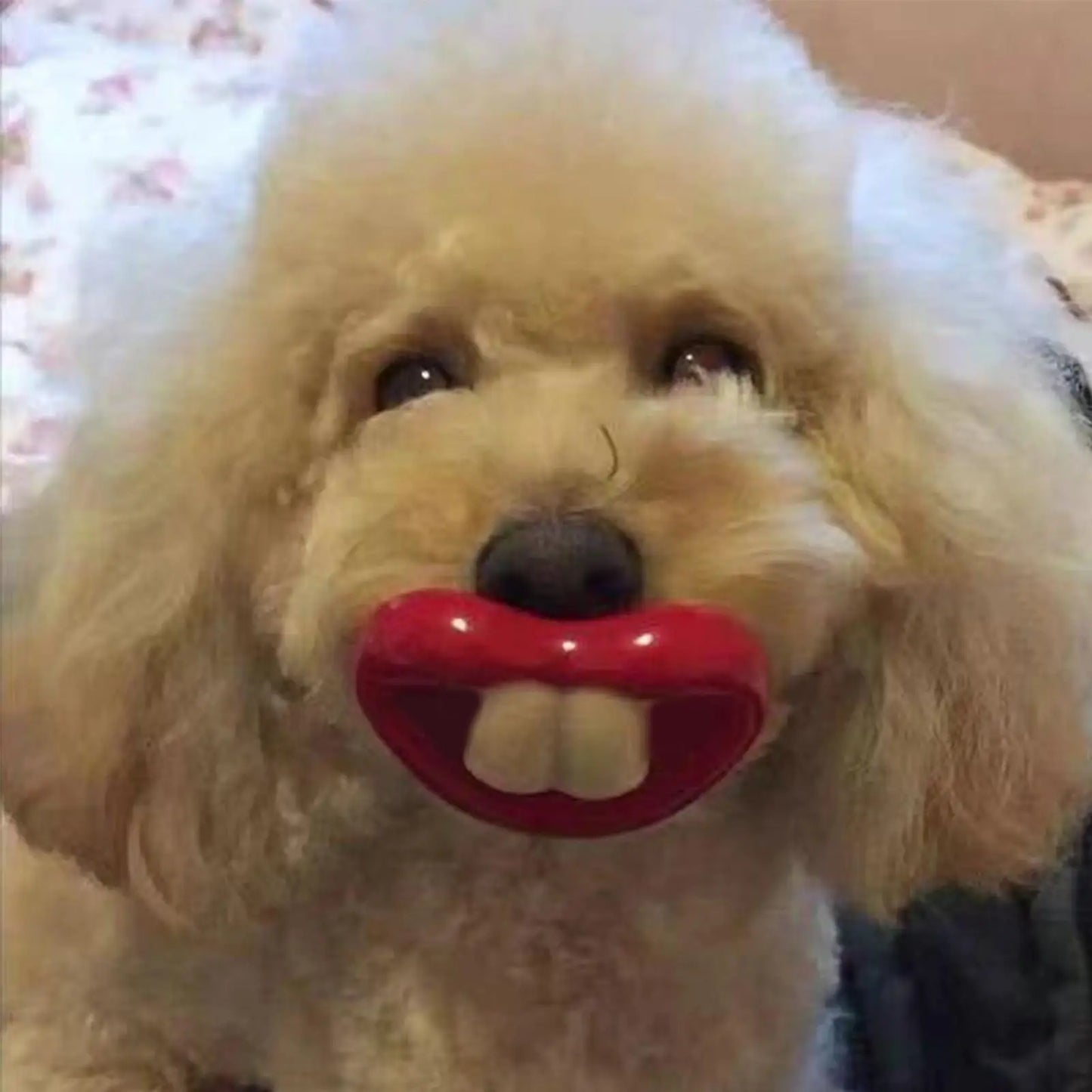 Funny Dog Pacifier Toy – Soft Silicone Red Lips Chew & Teething Toy for Small Dogs and Pets, Safe Dental Care Accessory.