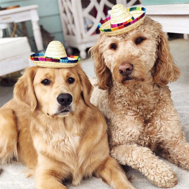 Colorful Mini Pet Straw Hat – Hawaiian Sombrero Sun Cap for Dogs & Cats, Perfect for Beach Parties & Fun Pet Costumes.