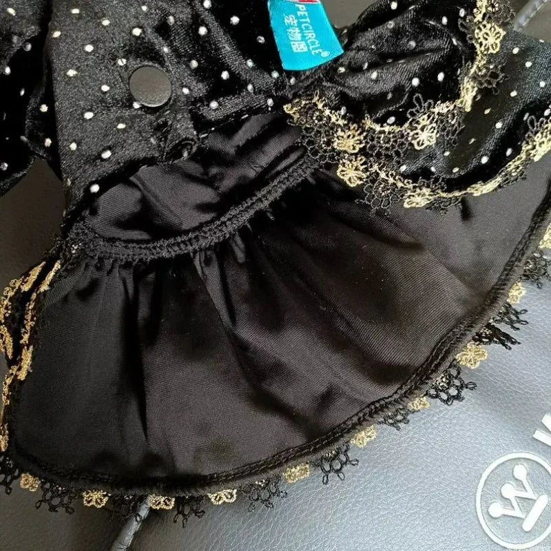 Velvet Black & Gold Pet Dress – Fashionable Girly Outfit for Small Dogs, Cute Luxury Print Clothing for Pets.